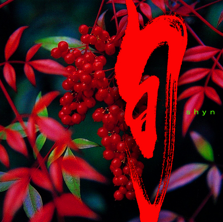 {V[g.jpg